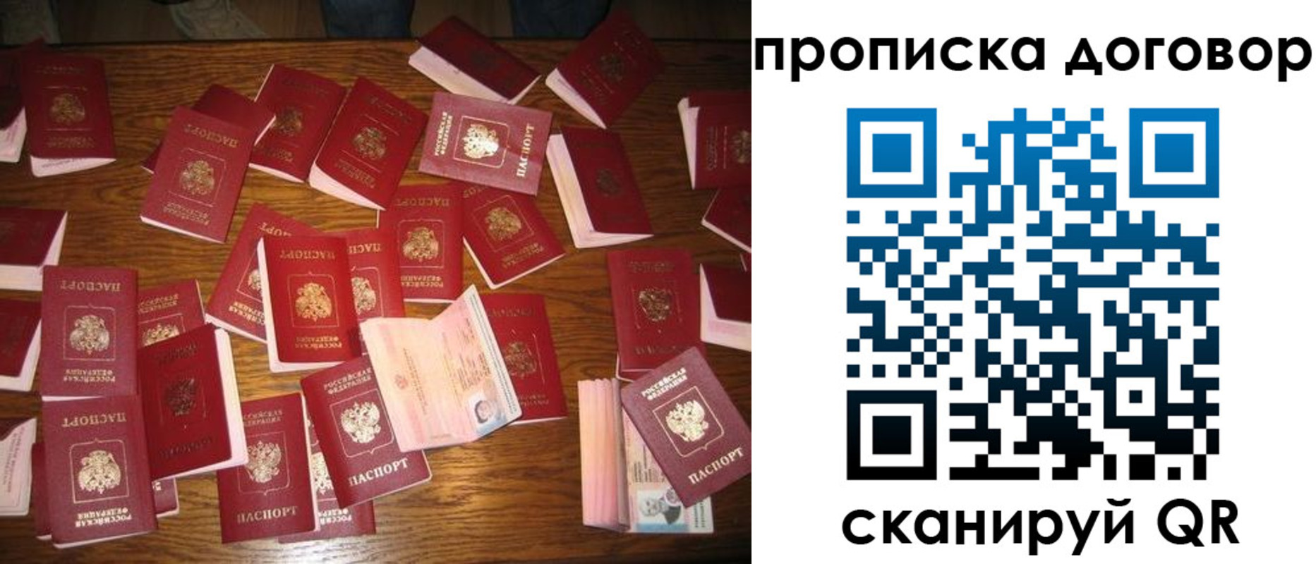 прописка для школы в Холмске